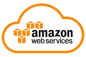 Amazon Web Services (AWS)